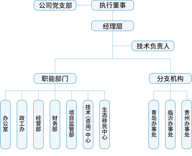 2 監(jiān)理公司 關于我們 組織機構(gòu) 配圖.jpg